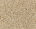 Cormar Carpet Natural Berber Twist Elite Coconut