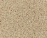Cormar Carpet Natural Berber Twist Elite Coconut