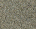 Cormar Carpet Natural Berber Twist Elite Green Tea