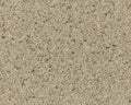 Cormar Carpet Natural Berber Twist Elite Morning Dew