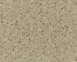 Cormar Carpet Natural Berber Twist Elite Morning Dew