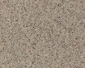 Cormar Carpet Natural Berber Twist Elite Platinum