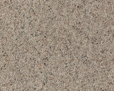 Cormar Carpet Natural Berber Twist Elite Platinum