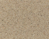 Cormar Carpet Natural Berber Twist Deluxe Seed