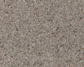 Cormar Carpet Natural Berber Twist Elite Woodland Mist