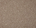 Cormar Carpet Primo Grande Beaver