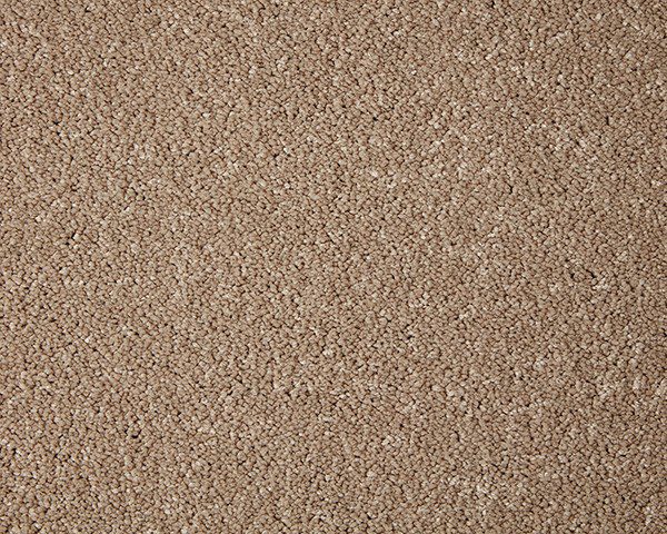 Cormar Carpet Primo Grande Lynx