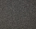 Cormar Carpet Primo Grande Raven