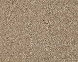Cormar Carpet Primo Naturals Wild Honey