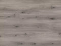 Elka 12mm Misty Oak Laminate Flooring