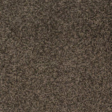 Victoria Carpets Aura Teddy