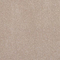 Victoria Carpets Freedom Xtra Ashwood