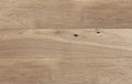 Ted Todd Classic Futures (Classic Tones) Santi - Plank (up to 2.2m x 180mm)