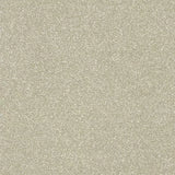 Abingdon Carpets Twist Fleece Dove