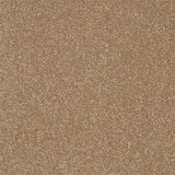 Abingdon Carpets Twist Fleece Mocha