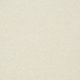 Abingdon Carpets Twist Fleece Pearl