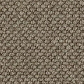 Westex Butterwick Koala