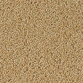 Westex FIRED EARTH Hebble Twist Goldfinch