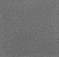 Westex Pure Luxury Velvets Troika Platinum
