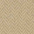 Westex Sawley Bone