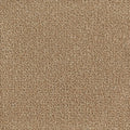 Westex Ultima Twist Penultima Springbok