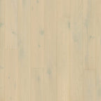 Quickstep Hardwood Amato – Wintry Forest Oak Extra Matt