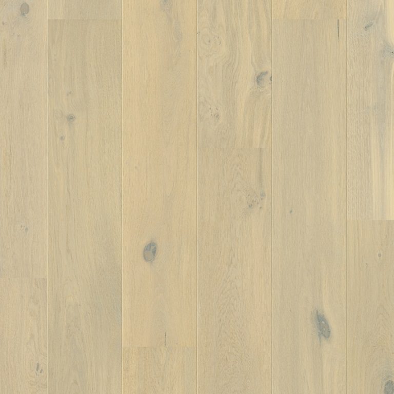 Quickstep Hardwood Cascada – Wintry Forest Oak Extra Matt