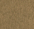 Alternative Flooring Anywhere Boucle Caramel
