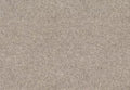 Alternative Flooring Barefoot Bikram Janu