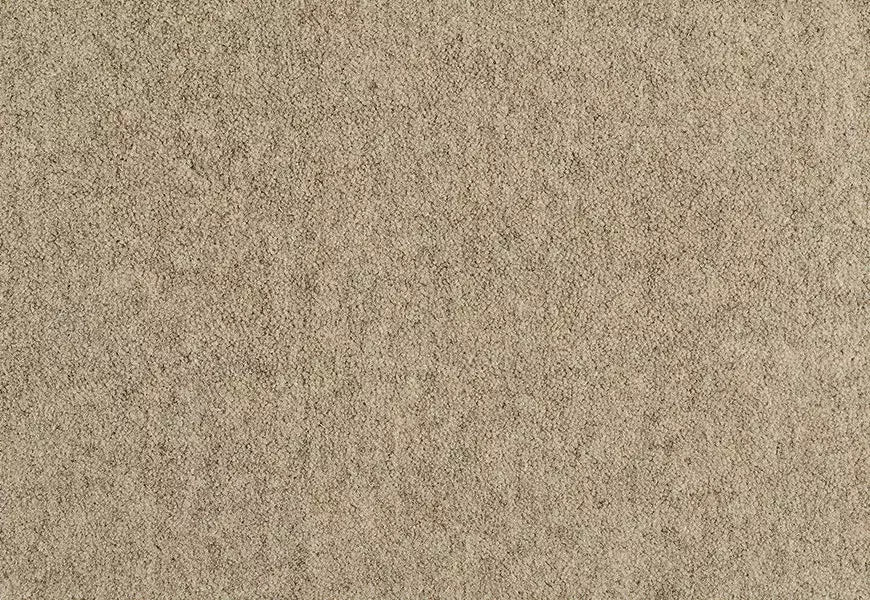 Alternative Flooring Barefoot Bikram Samsara