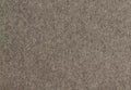 Alternative Flooring Barefoot Bikram Tadasana