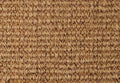 Alternative Flooring Coir Boucle Natrual
