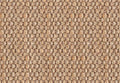 Alternative Flooring Jute Panama Flapjack