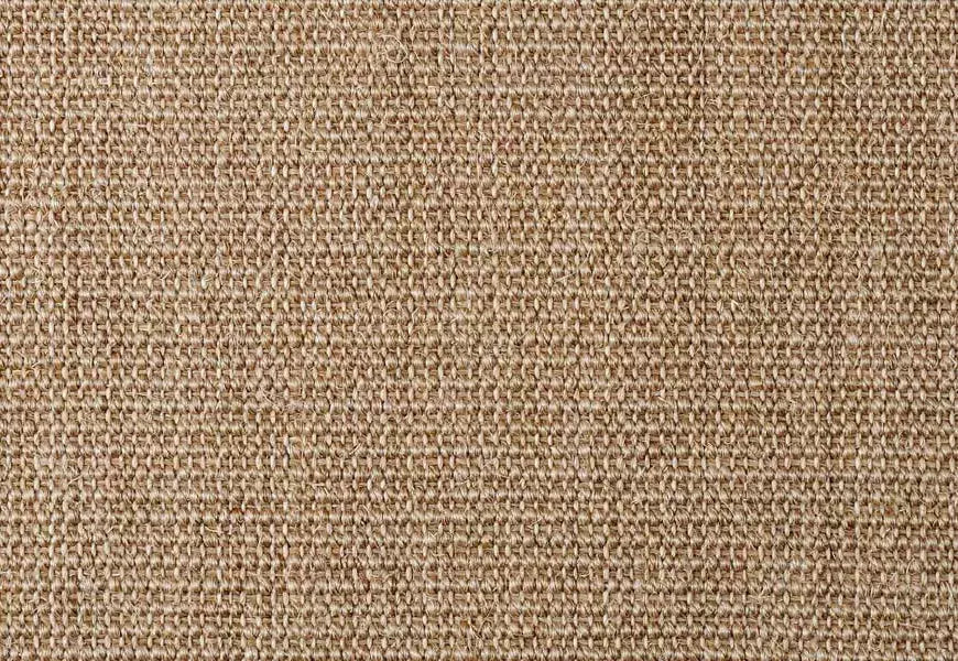 Alternative Flooring Sisal Boucle Basing