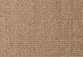 Alternative Flooring Sisal Boucle Basing