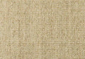 Alternative Flooring Sisal Boucle Blenheim