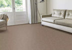 Alternative Flooring Sisal Boucle Buriton