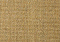 Alternative Flooring Sisal Boucle Byfield