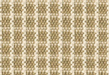 Alternative Flooring Woosie Check Wild