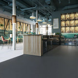 Polyflor Polysafe Standard PUR Twilight