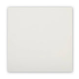 FIRED EARTH Abbey Ivory
