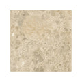 FIRED EARTH Ceppo Beige 600mm x 600mm