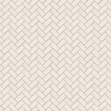 FIRED EARTH Palio Herringbone Mosaic