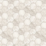 FIRED EARTH Westhampton Hexagon Mosaic Honed