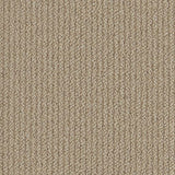 Cormar Carpet Primo Textures Antelope