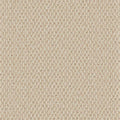 Cormar Carpet Primo Textures Canvas
