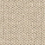 Cormar Carpet Primo Textures Canvas