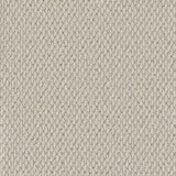 Cormar Carpet Primo Textures Cornish Clay