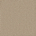 Cormar Carpet Primo Textures Elk