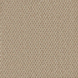 Cormar Carpet Primo Textures Elk